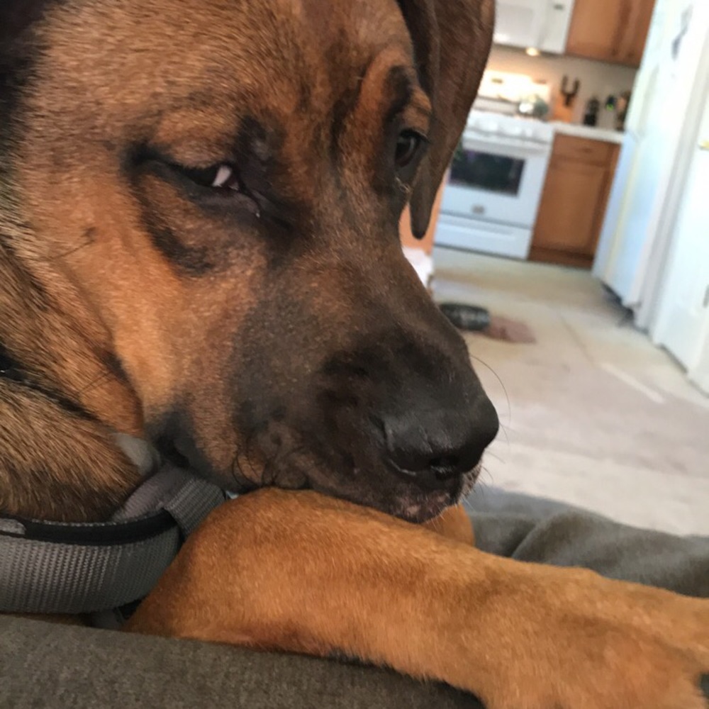 Meet your Posher, Mya